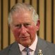 Illustration for article titled British Royal Family Orders Citizens To Leave U.K. Until Prince Charles Recovers